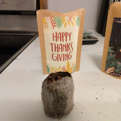 Happy Thanksgiving Greeting-1