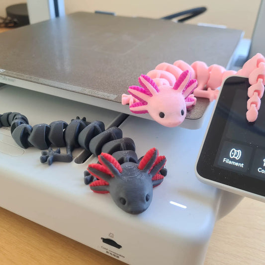 Articulated Axolotl (Multicolor)