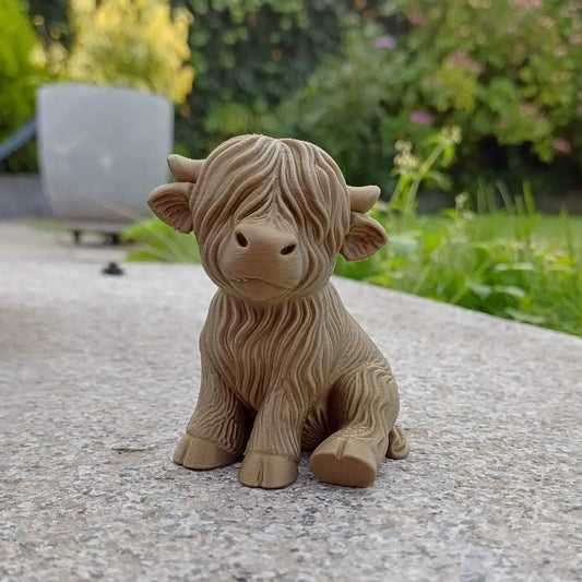 Cute Highland Cow Calf