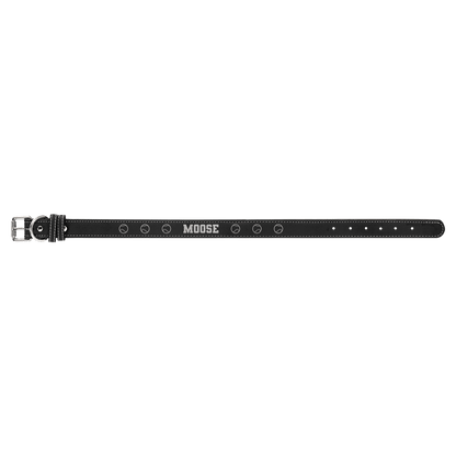 Engravable Leatherette Dog Collar