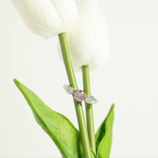 Stainless Steel CZ Accent Birthstone Ring / ZRJ4138