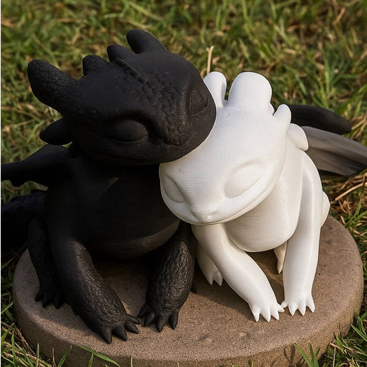 Toothless and Lightfury