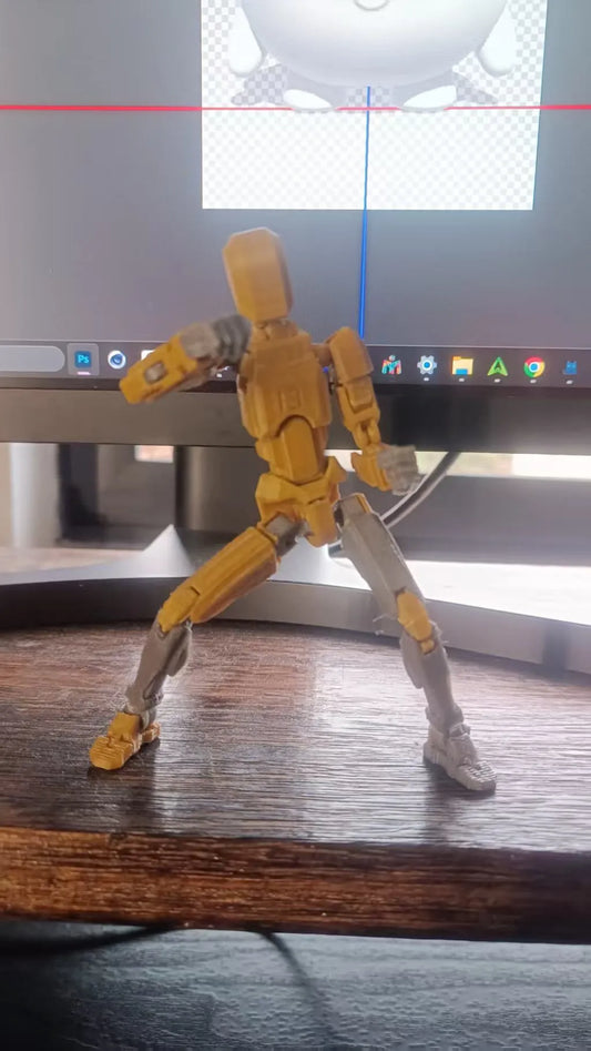 Dummy 13